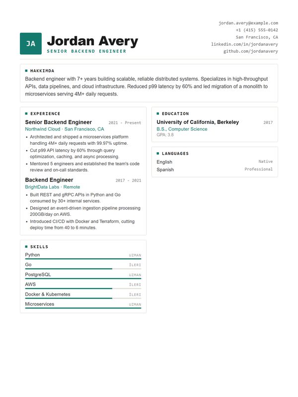 Dublin CV şablonu önizlemesi