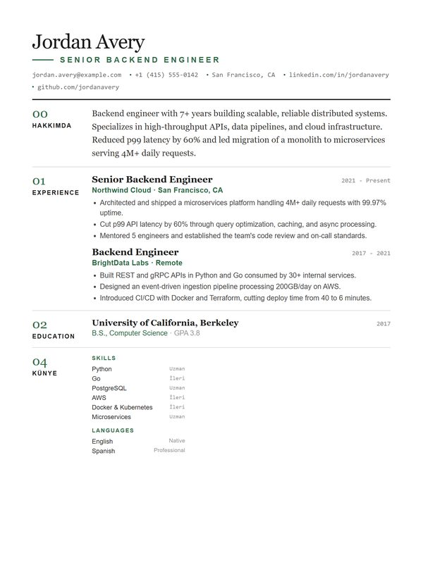 Madrid CV şablonu önizlemesi